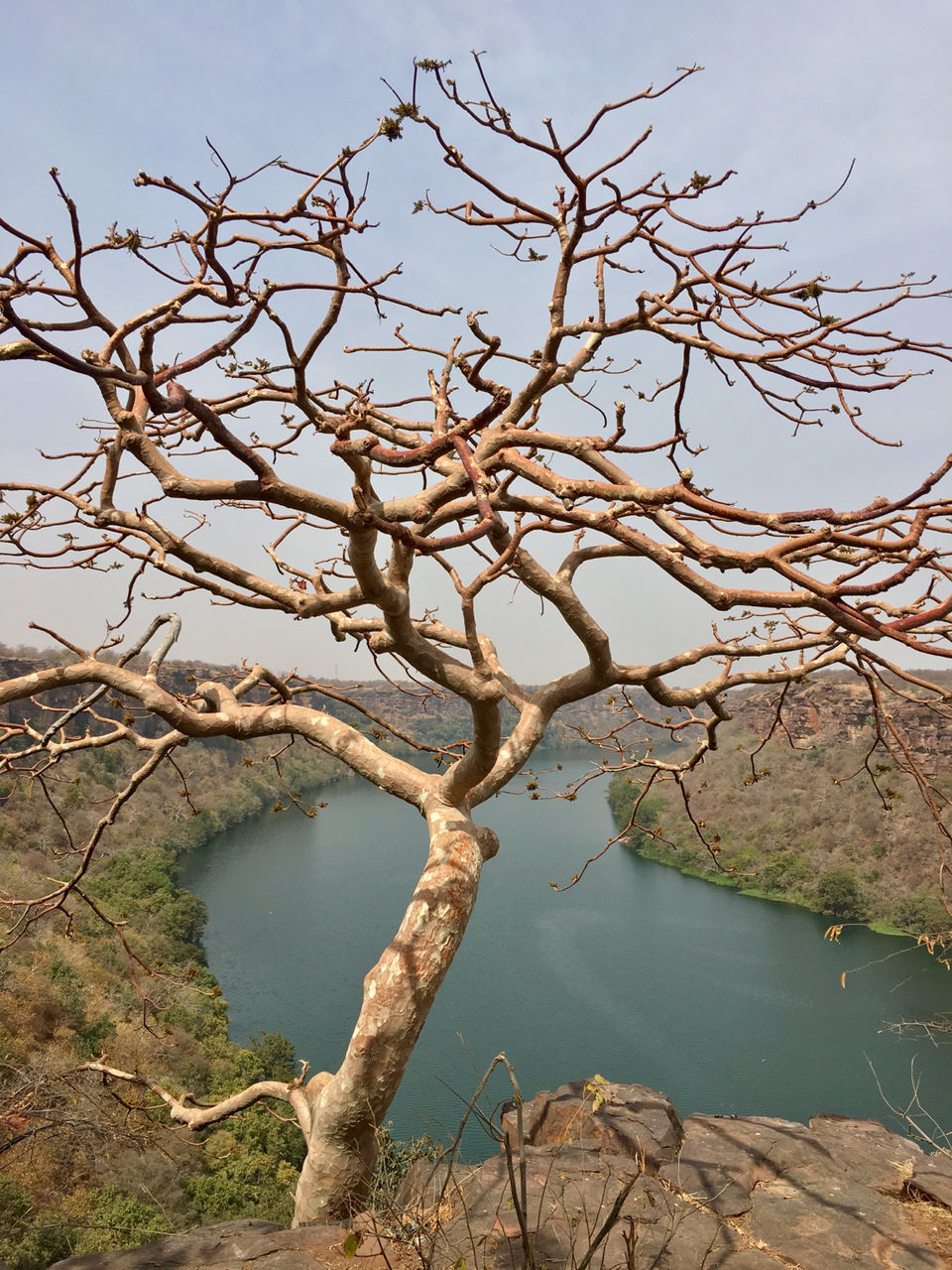 Photo of Garadia Mahadev:A Gem Of Madhya Pradesh by Ranjan Singh