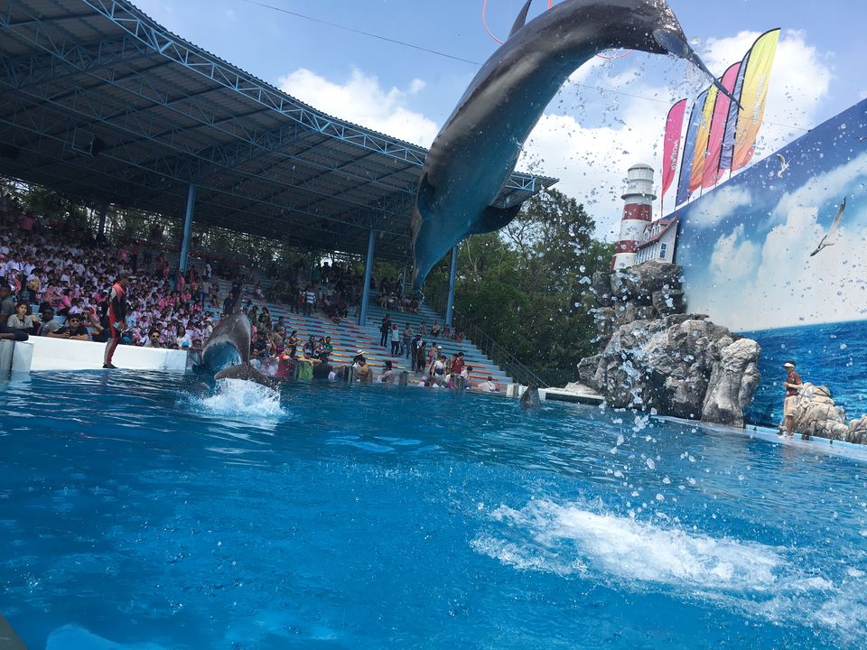 Photo of Safari World, Thanon Panya Intra, Sam Wa Tawan Tok, Khlong Sam Wa, Bangkok, Thailand by Ranjan Singh