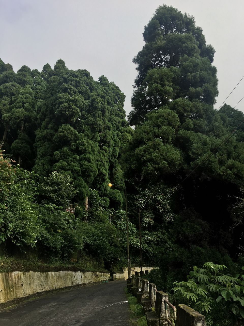 Photo of Darjeelling Peace Pagoda, West Point, Darjeeling, West Bengal, India by Ranjan Singh
