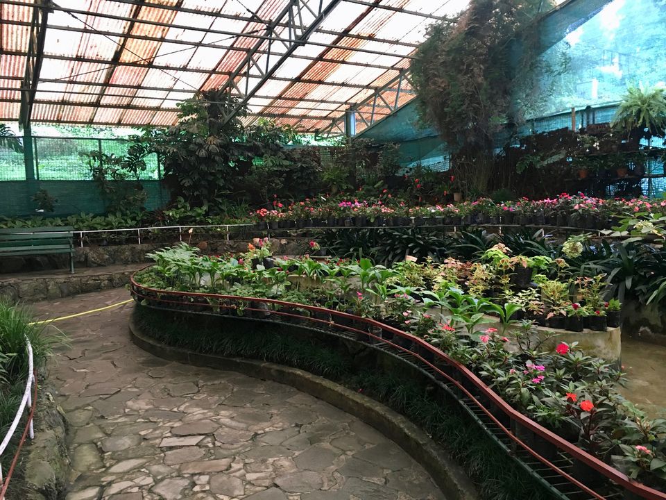 Photo of Flower Exhibition Centre - Ridge Park., Arithang, Gangtok, Sikkim, India by Ranjan Singh