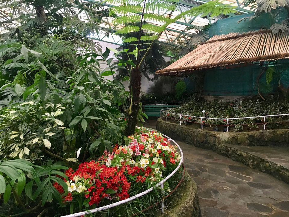 Photo of Flower Exhibition Centre - Ridge Park., Arithang, Gangtok, Sikkim, India by Ranjan Singh