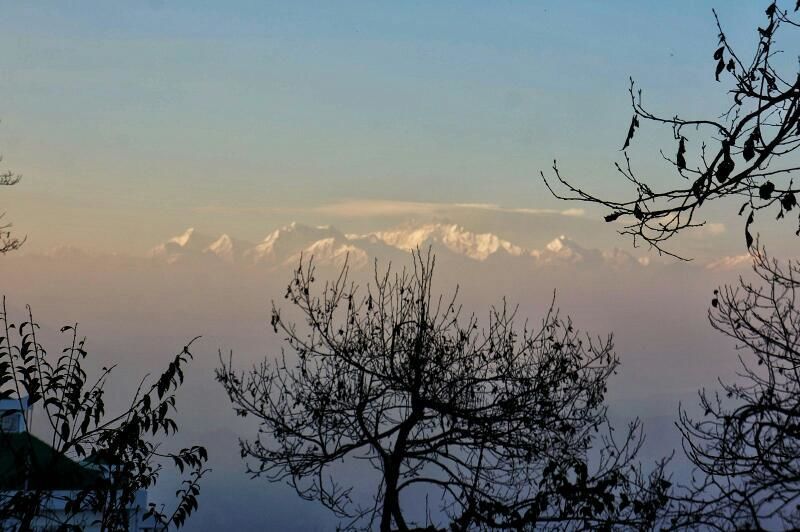 Photo of Happy Valley Tea Estate, Darjeeling, West Bengal, India by Tania Banerjee