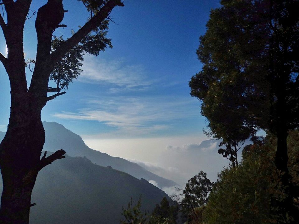 Photo of Top Station, Kerala, India by Tania Banerjee