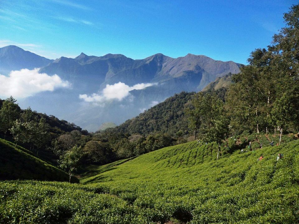Photo of Tea Museum, Nullatanni, Munnar, Kerala, India by Tania Banerjee