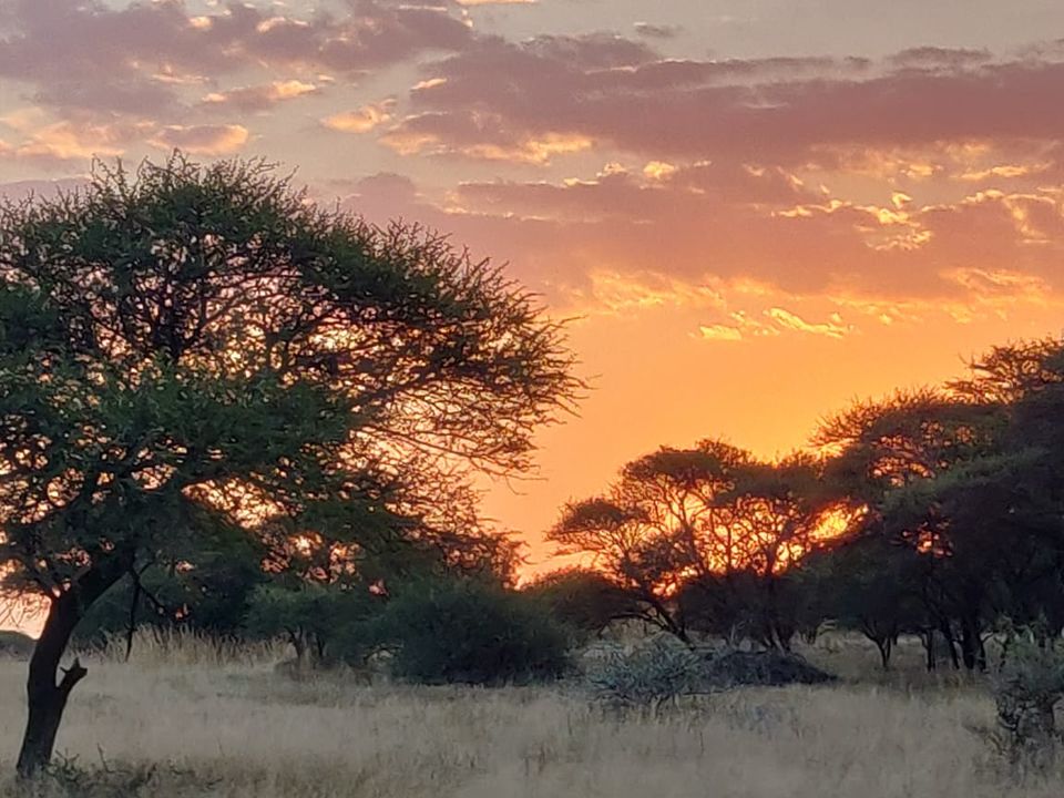 Photo of An Extraordinary encounter with the wildlife of South Africa at the Mabula Game Reserve by Malika Bhavnani