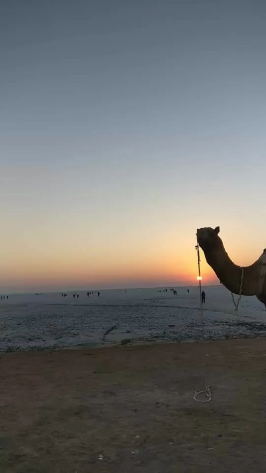 Photo of The city of Dunes and the moonland :Dhordo by Hansa Jeswani