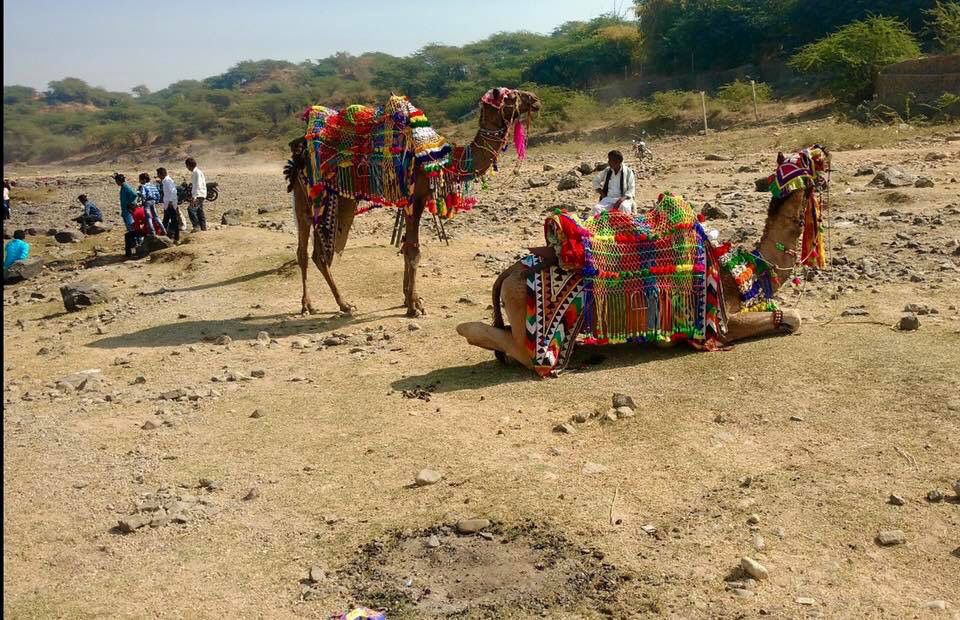 Photo of Rasalpur, Gujarat by Dixita Patel