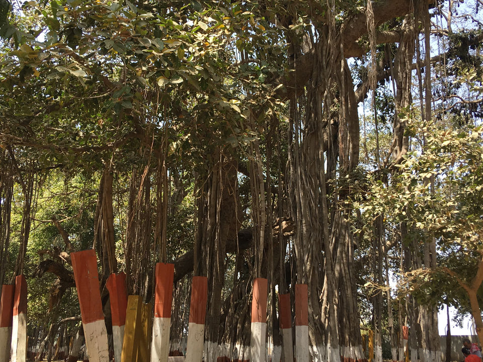 Photo of Kabirvad, Gujarat, India by Dixita Patel