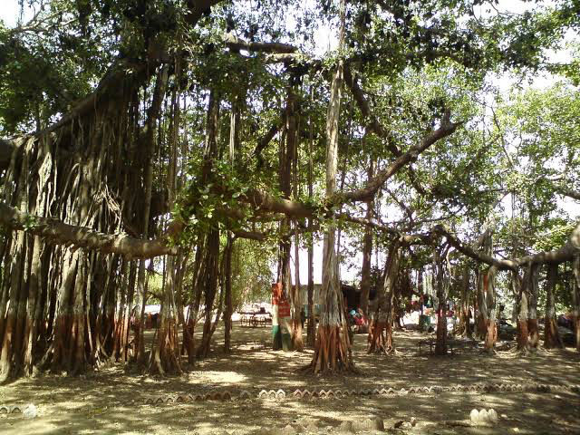 Photo of Kabirvad, Gujarat, India by Dixita Patel