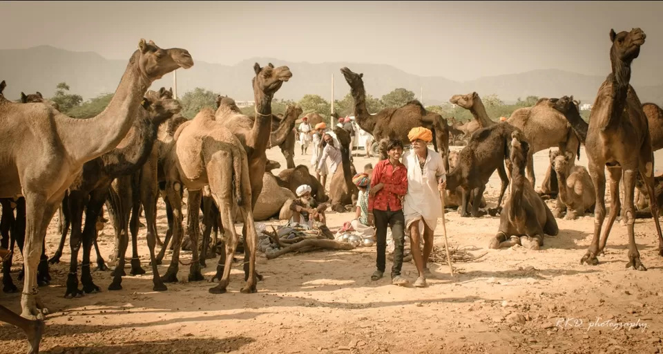 Photo of Pushkar, Rajasthan, India by Rathin Kumar Das