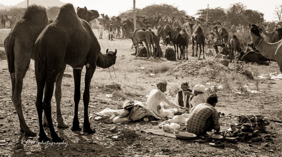Photo of Pushkar, Rajasthan, India by Rathin Kumar Das