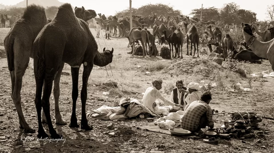 Photo of Pushkar, Rajasthan, India by Rathin Kumar Das