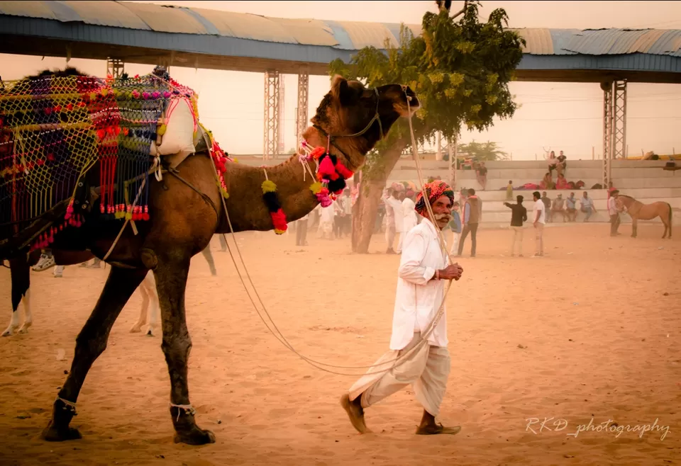 Photo of Pushkar, Rajasthan, India by Rathin Kumar Das