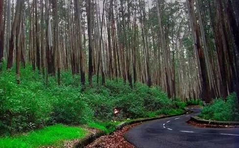 Photo of Kodaikanal - a 3 day itinerary by Suthan Smackthat