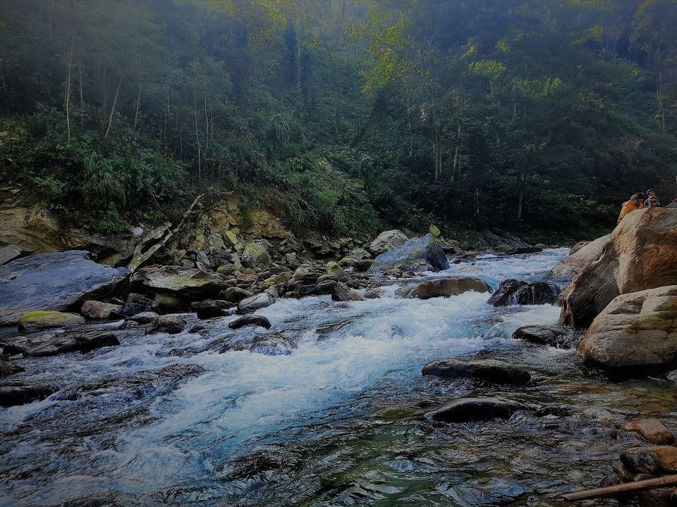 Photo of Rimbi Orange Garden, Pelling-Rimbi Road, Pelling, Sikkim, India by Sandhya Chaudhary