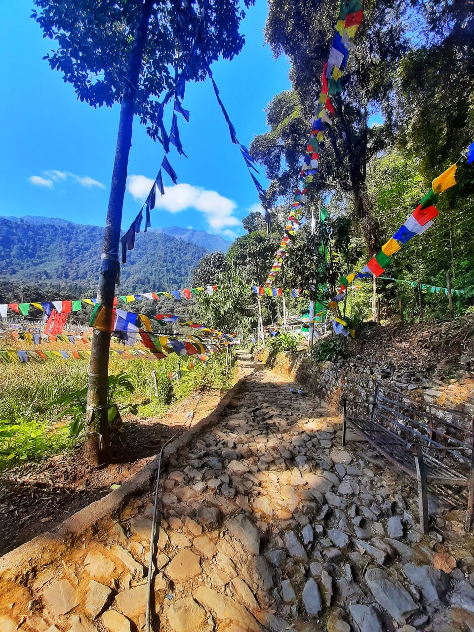 Photo of Khecheopalri Lake, Sikkim by Sandhya Chaudhary