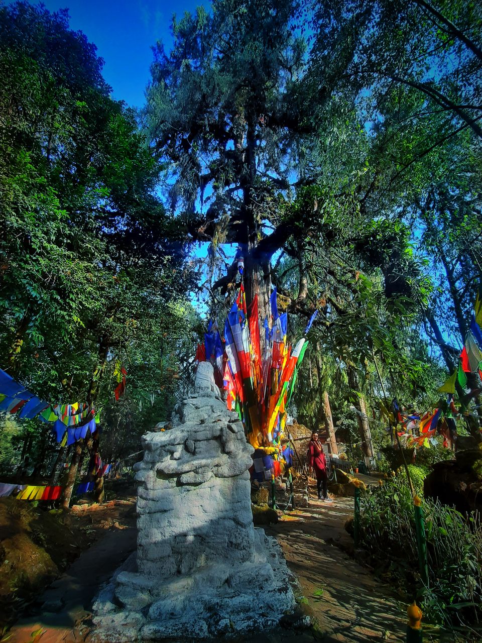 Photo of Norbu gang, Coronation throne of Namgyal Dynasty, Yuksom, Sikkim, India by Sandhya Chaudhary