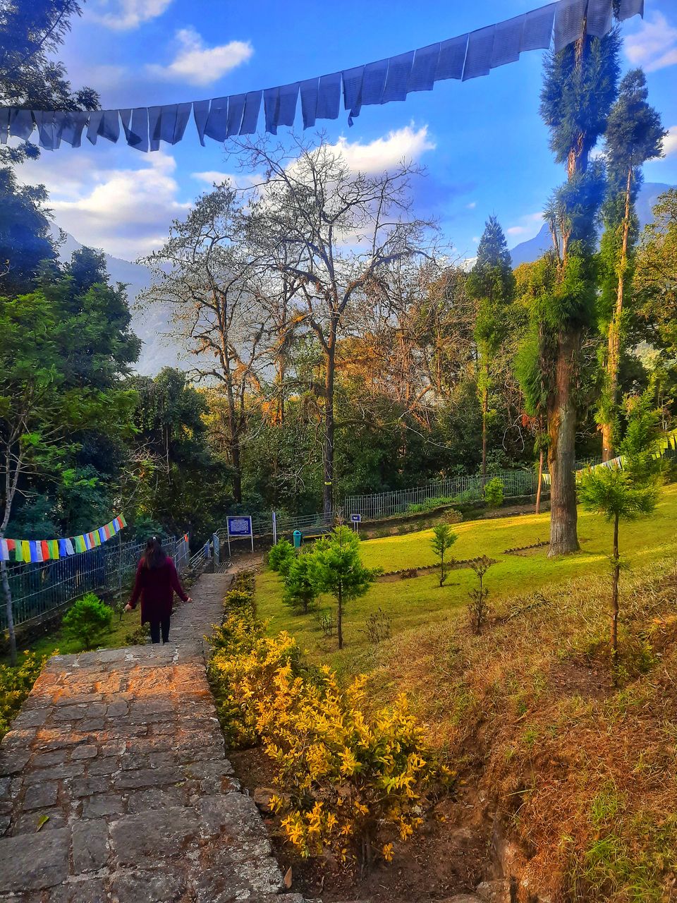 Photo of Dubdi Monastery, near Yuksom, Yuksom, Sikkim, India by Sandhya Chaudhary