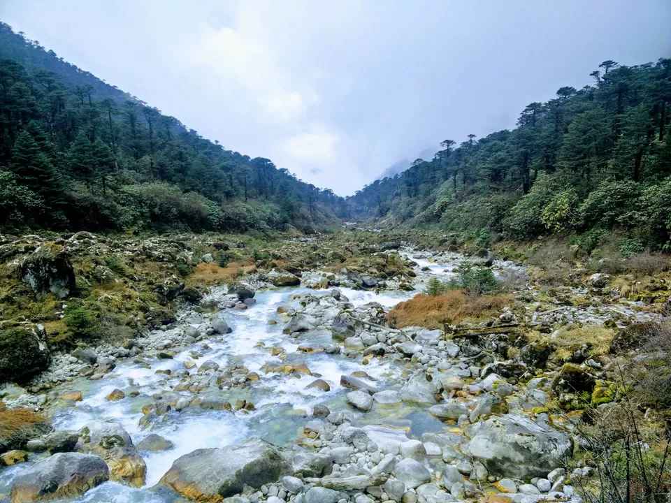 Photo of Kockchurang Trekker's Hut, Yuksom, Sikkim, India by Asmita Bhattacharya