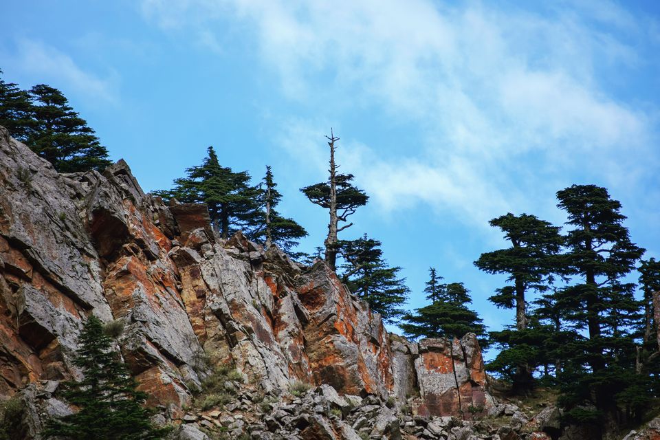 Photo of Detailed Travel Guide to Kinnaur Valley - Kalpa / Chitkul by Asmita Bhattacharya