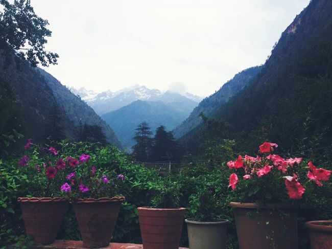 Photo of Kasol, Himachal Pradesh, India by Tanya Yadav