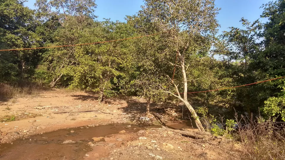 Photo of 12 Hours..4 Places..1 Bike.. Exploring The Devotional & Nature Side Of Warangal.. #trekkinginwinter by Arun Abhimanyu