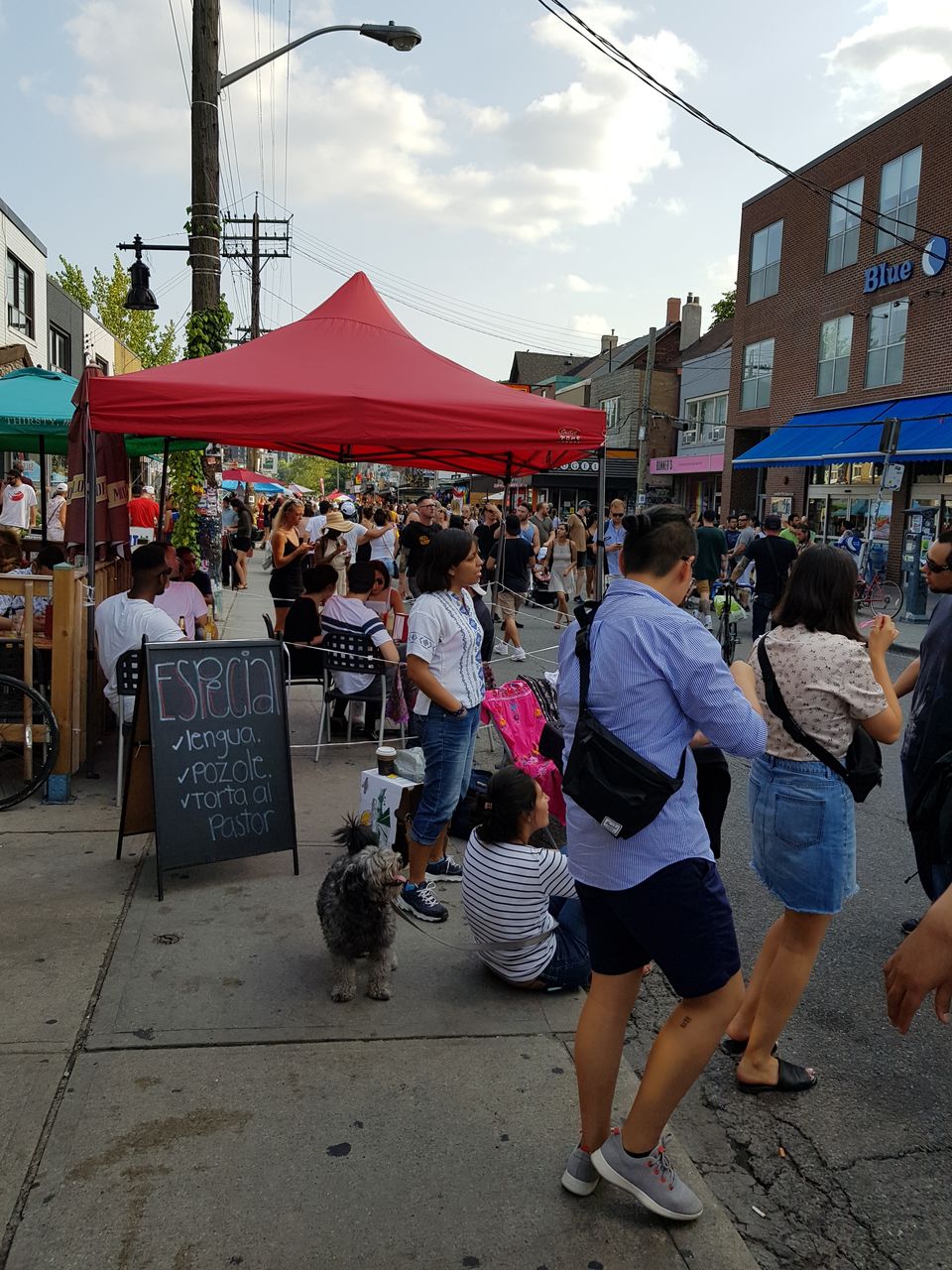 Photo of Toronto 9/24 by Richa Kapre