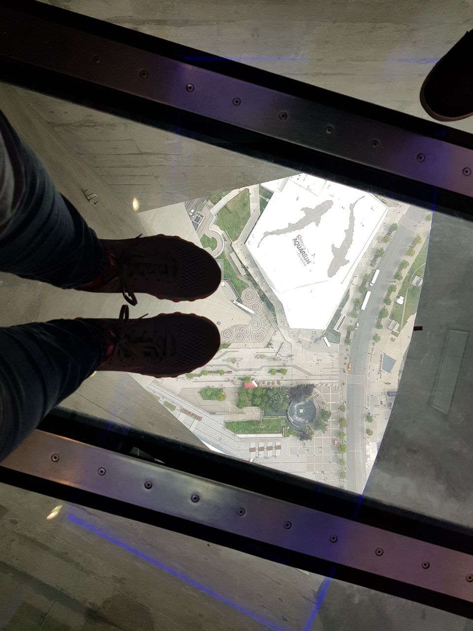 Photo of Toronto 18/24 by Richa Kapre