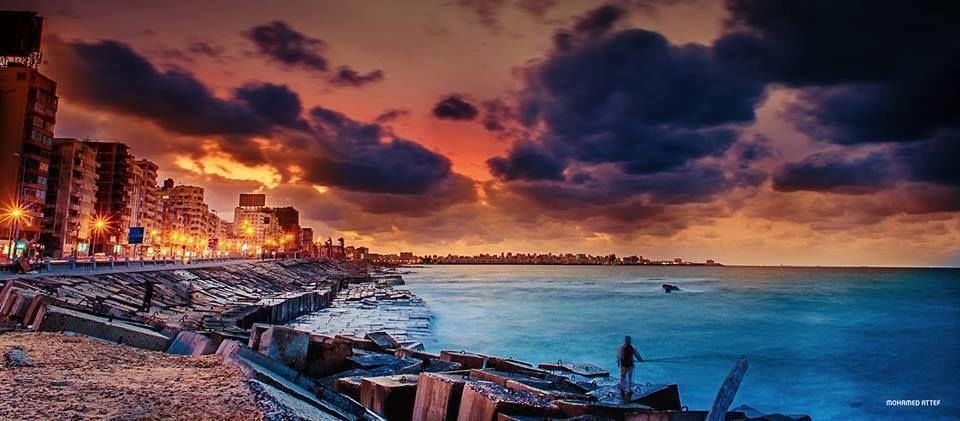 Photo of Tours & Excursions to Alexandria from Cairo 7/9 by bhgat