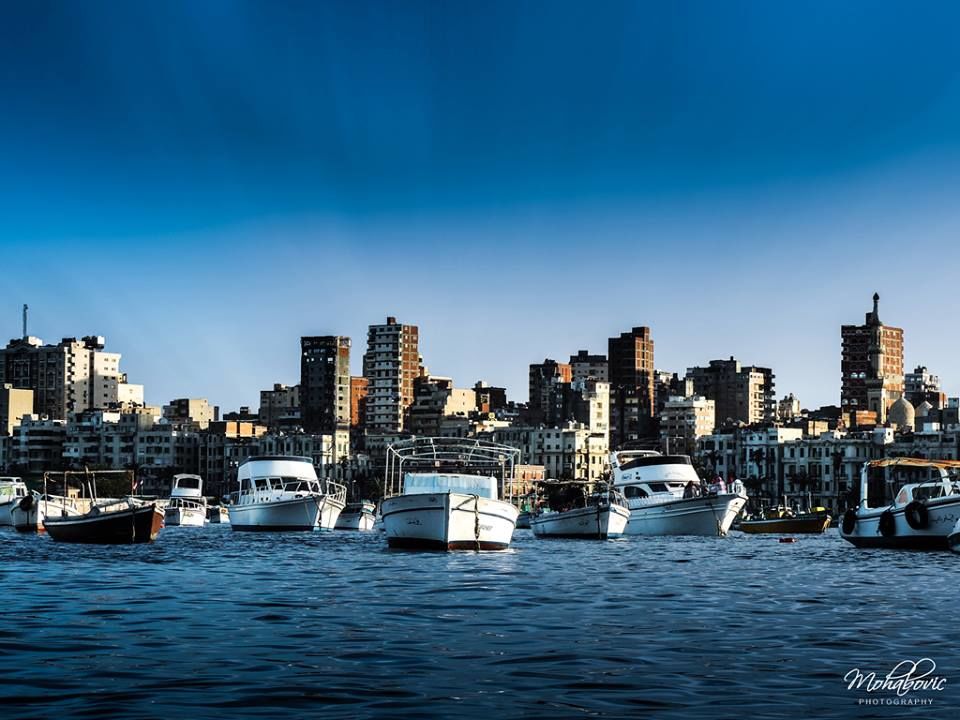 Photo of Tours & Excursions to Alexandria from Cairo 8/9 by bhgat