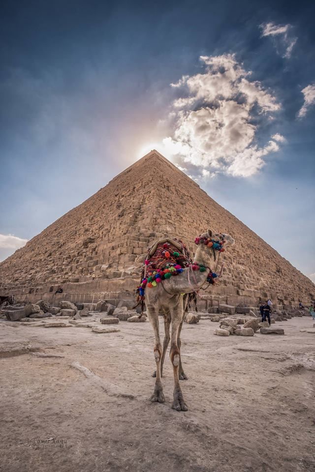 Photo of Camel and horse Ride Around The Pyramids 4/5 by bhgat