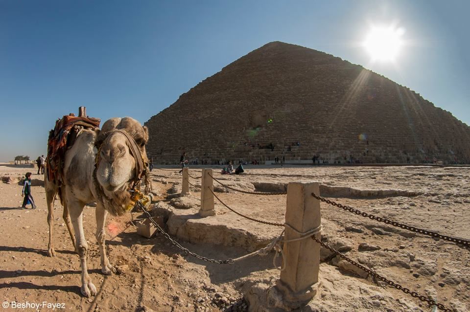 Photo of Camel and horse Ride Around The Pyramids 5/5 by bhgat