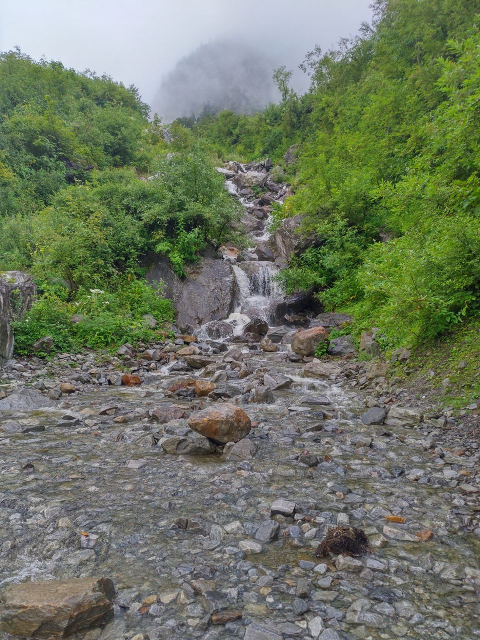 Photo of A budget trip to Valley of Flowers, Hemkund Sahib and Rishikesh in just Rs 3150 by Kshitij Pratap