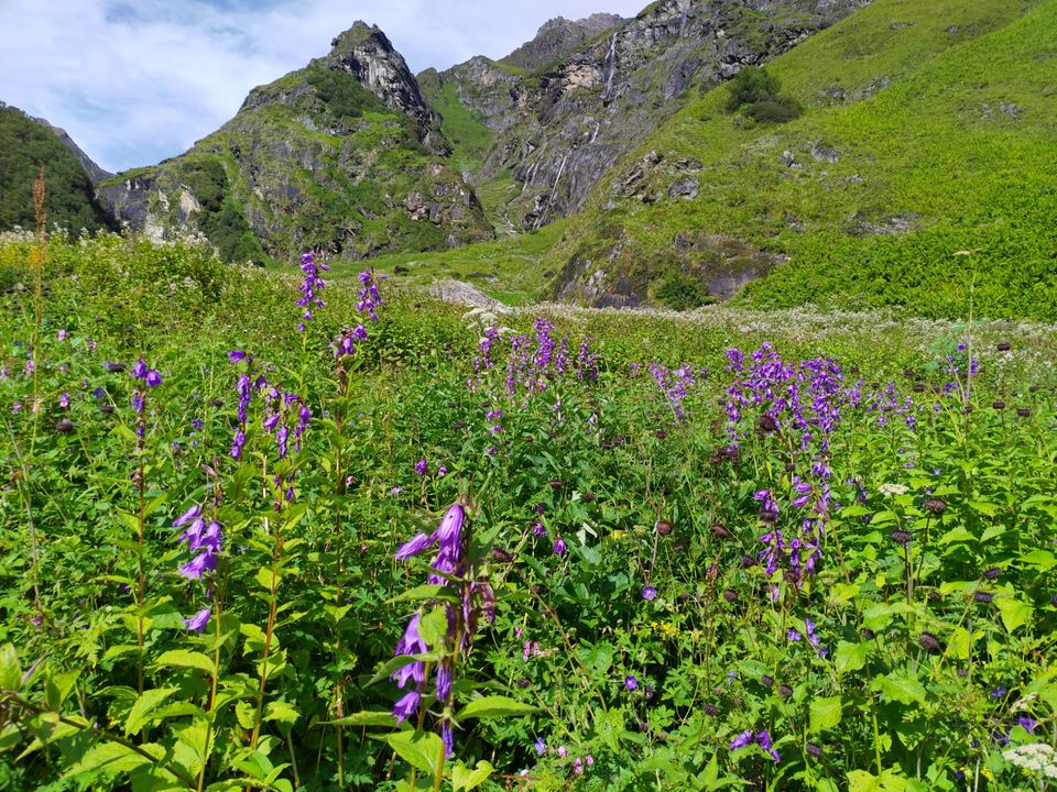 Photo of A budget trip to Valley of Flowers, Hemkund Sahib and Rishikesh in just Rs 3150 by Kshitij Pratap