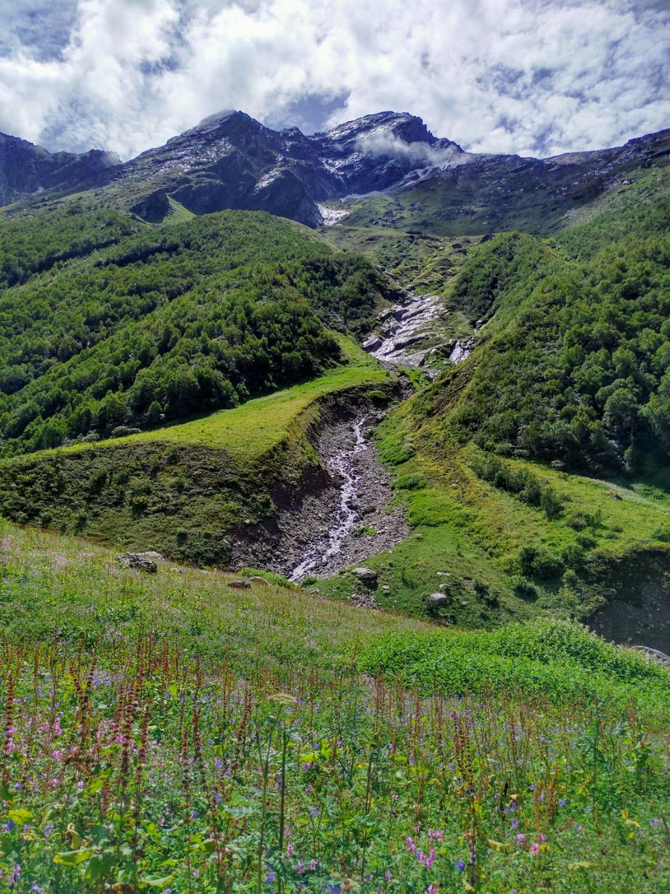 Photo of A budget trip to Valley of Flowers, Hemkund Sahib and Rishikesh in just Rs 3150 by Kshitij Pratap