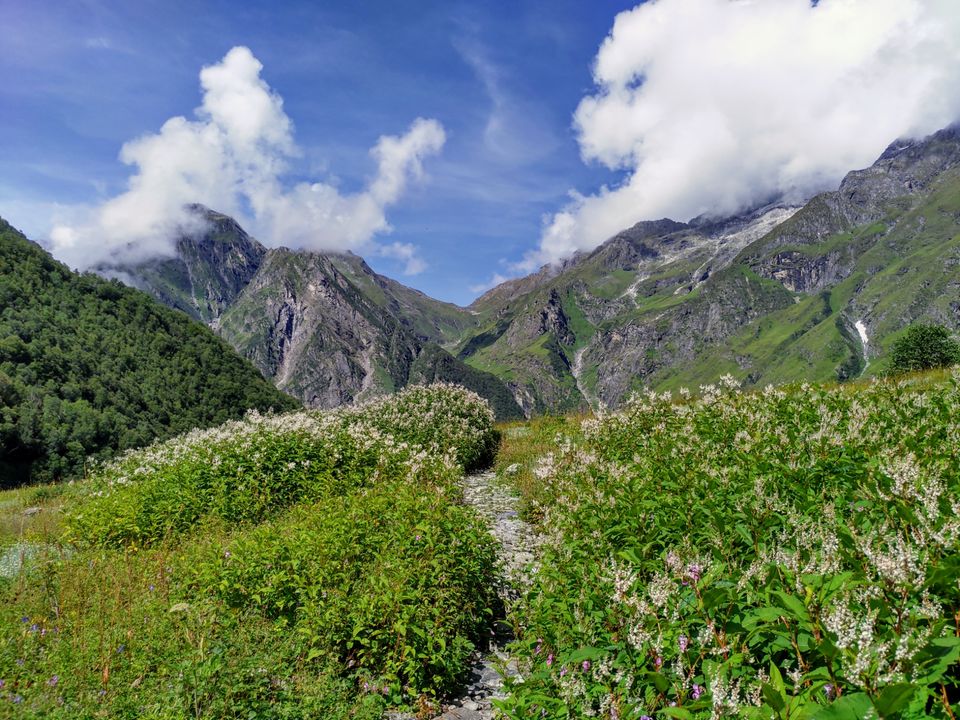 Photo of A budget trip to Valley of Flowers, Hemkund Sahib and Rishikesh in just Rs 3150 by Kshitij Pratap