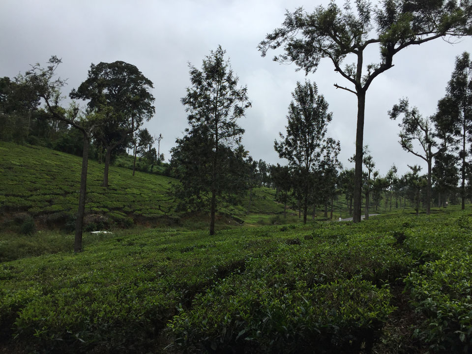Photo of Pooppara, Kerala, India by Harish Goutham