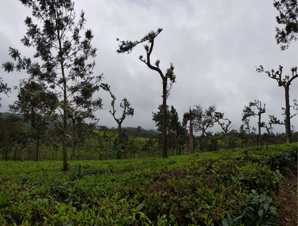 Photo of Pooppara, Kerala, India by Harish Goutham