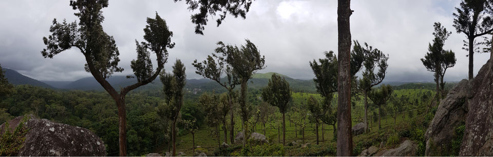 Photo of Pooppara, Kerala, India by Harish Goutham