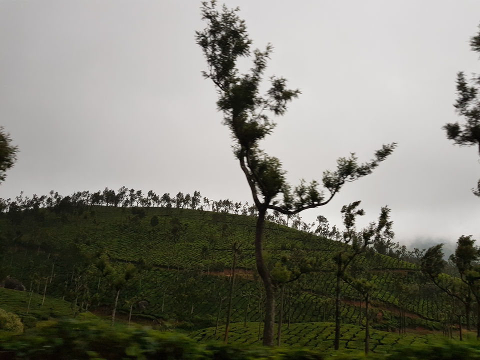Photo of Pooppara, Kerala, India by Harish Goutham