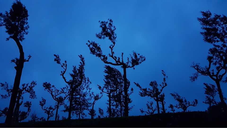 Photo of Pooppara, Kerala, India by Harish Goutham