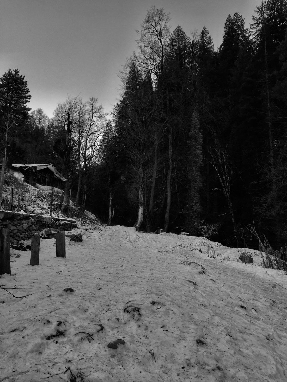 Photo of Winters In Parvati Valley:Tosh,Kheerganga,Manikaran And Kasol. #Bestof2018 by Harish Goutham