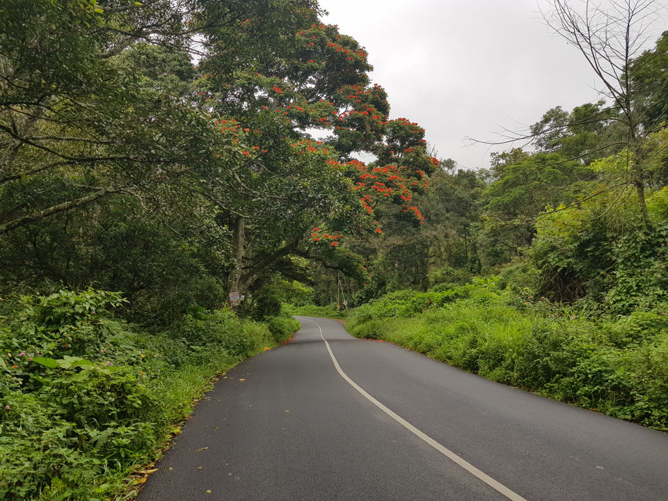 Photo of Into The Nature’s Lap And Enjoy It’s Rawness:Pooppara by Harish Goutham