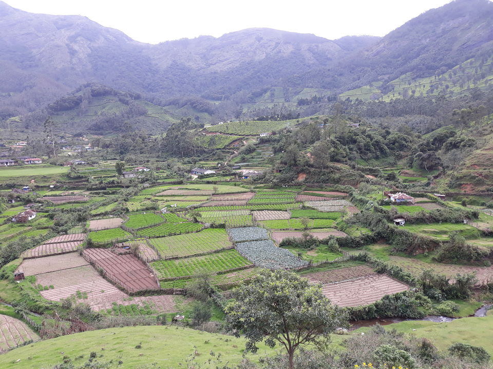 Photo of Doctors take a relaxing trip to Munnar by Divya Sree