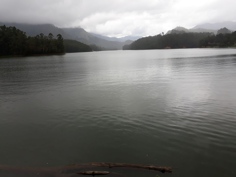 Photo of Doctors take a relaxing trip to Munnar by Divya Sree
