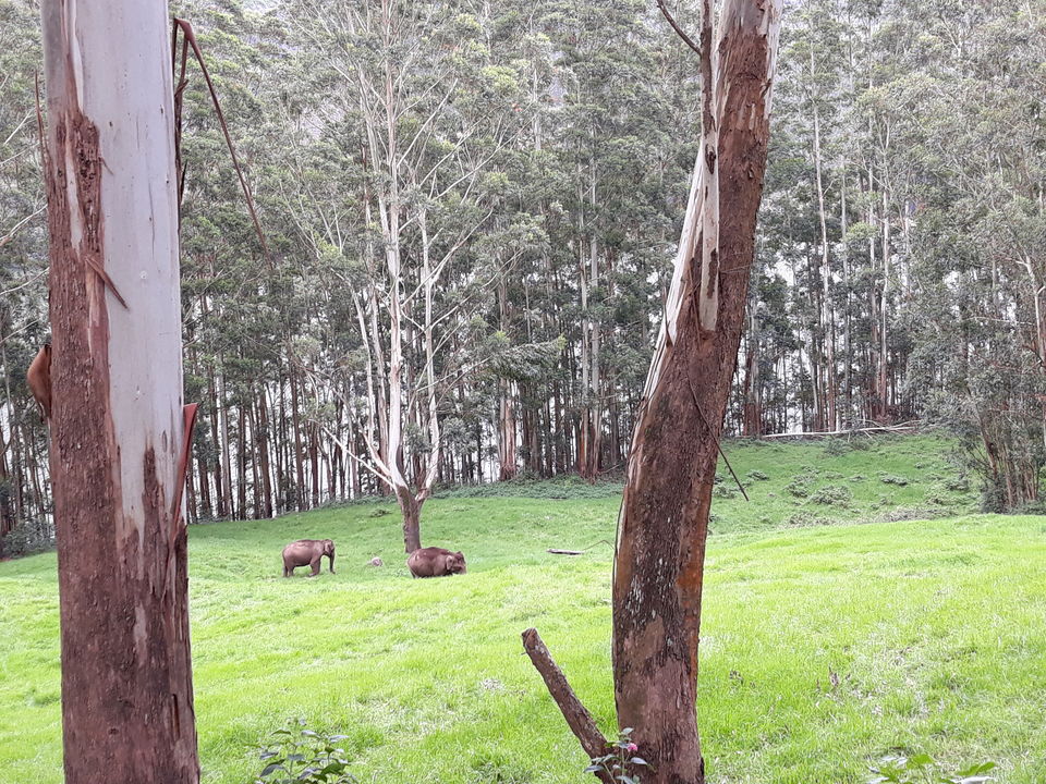 Photo of Doctors take a relaxing trip to Munnar by Divya Sree