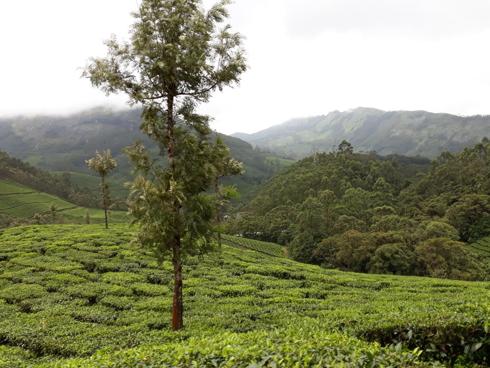 Photo of Doctors take a relaxing trip to Munnar by Divya Sree