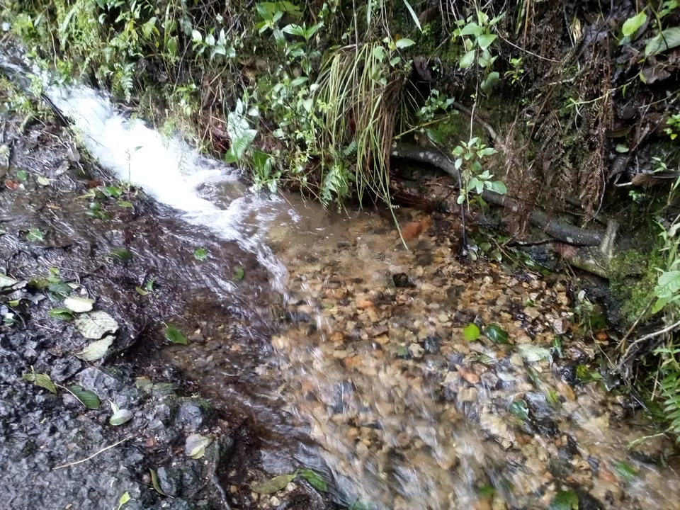 Photo of Munnar, Kerala, India by Divya Sree