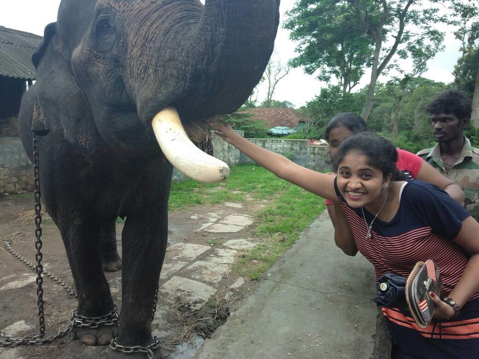 Photo of Dubare Elephant Camp, Nanjarayapatna, Karnataka, India by Divya Sree