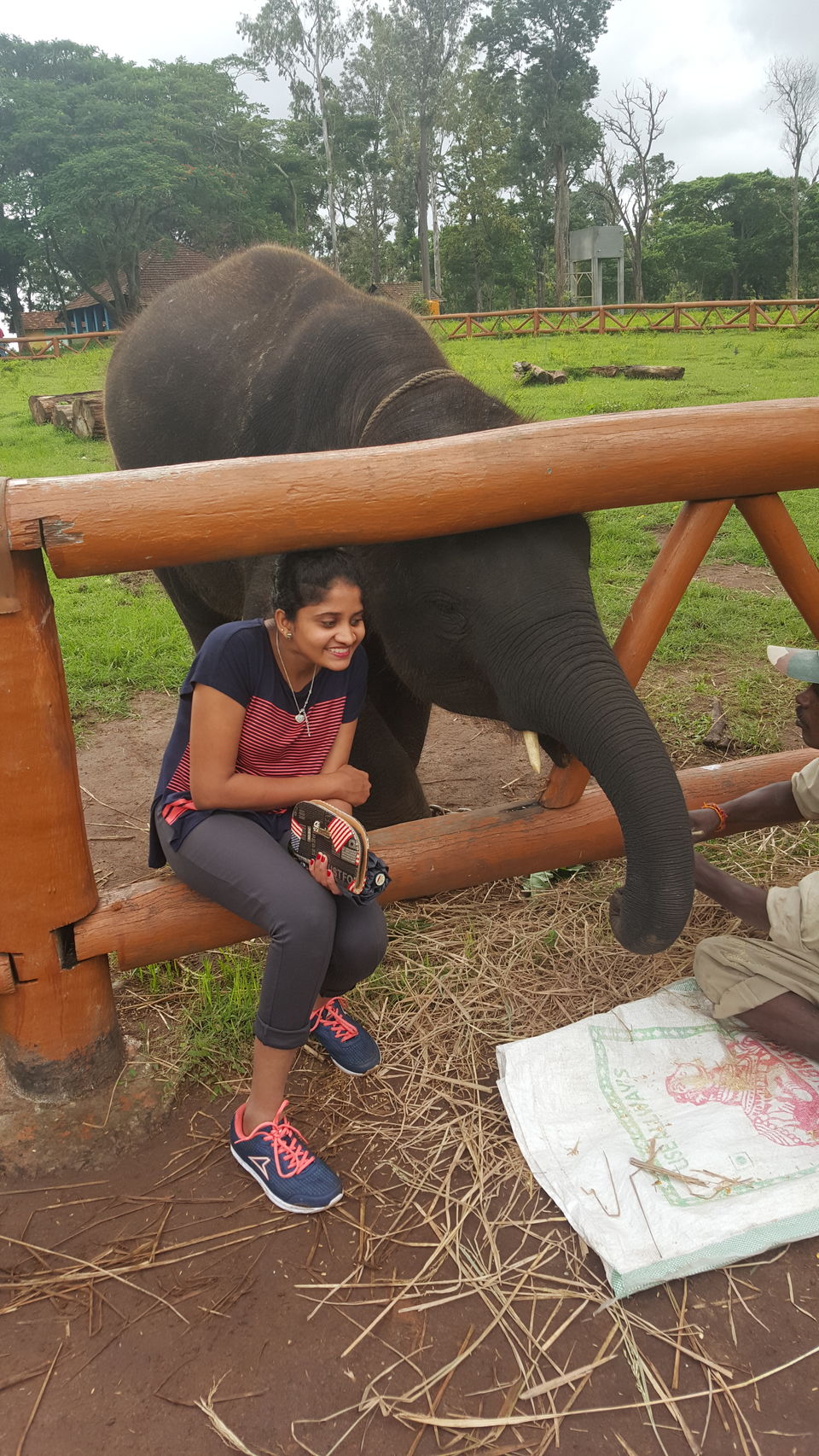 Photo of Dubare Elephant Camp, Nanjarayapatna, Karnataka, India by Divya Sree